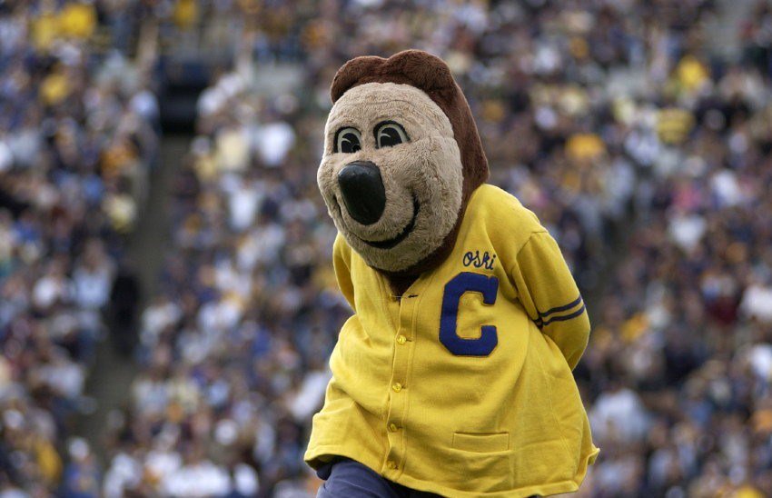 uc berkeley mascot name        <h3 class=