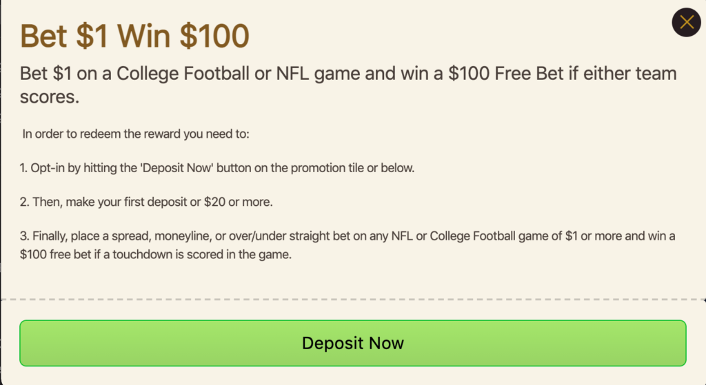 Do You Like Free Money? Bet $1 To Win $100 If Either Team Scores A  Touchdown - TFM