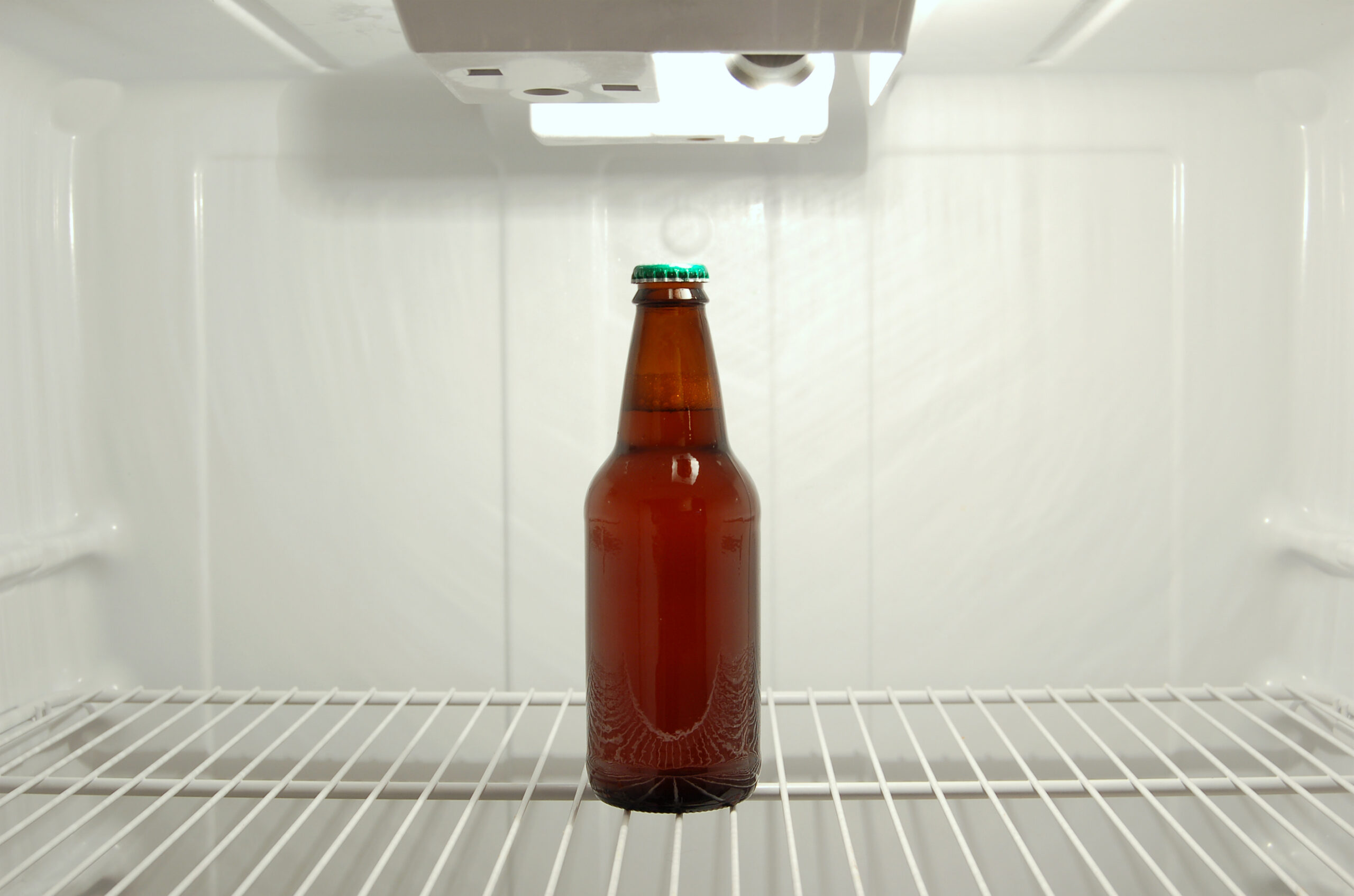 The last bottle of beer in the refrigerator