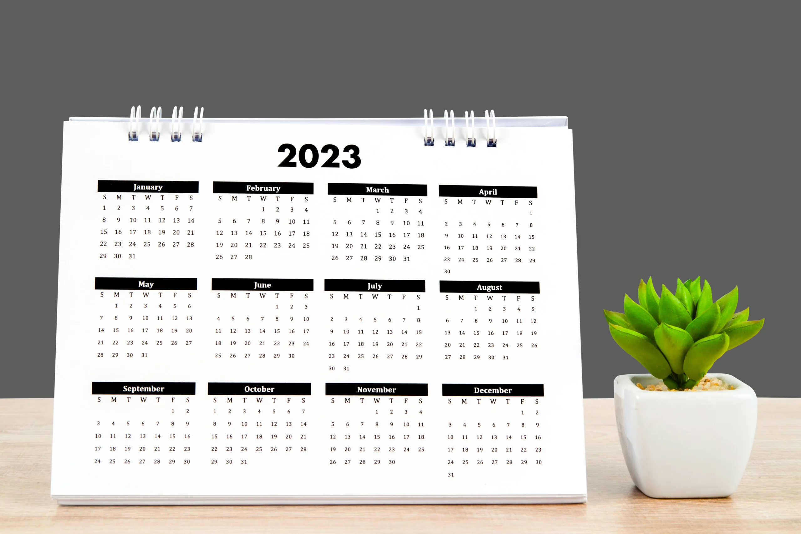 Calendar desk 2023, Calendar planning and houseplant on wooden table with dark gray background, clipping path.