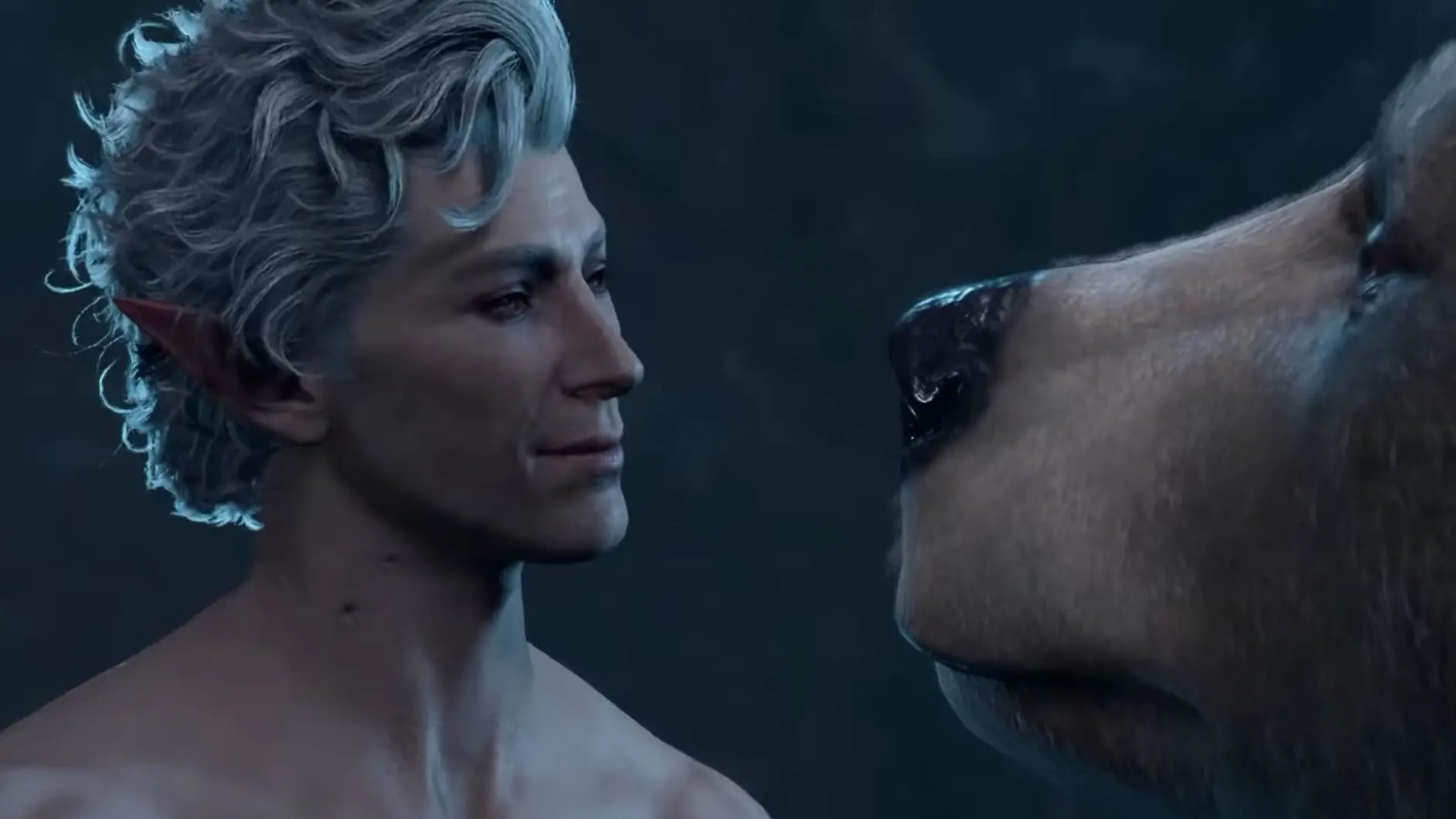 New Video Game Has Man on Bear Sex Scene - TFM