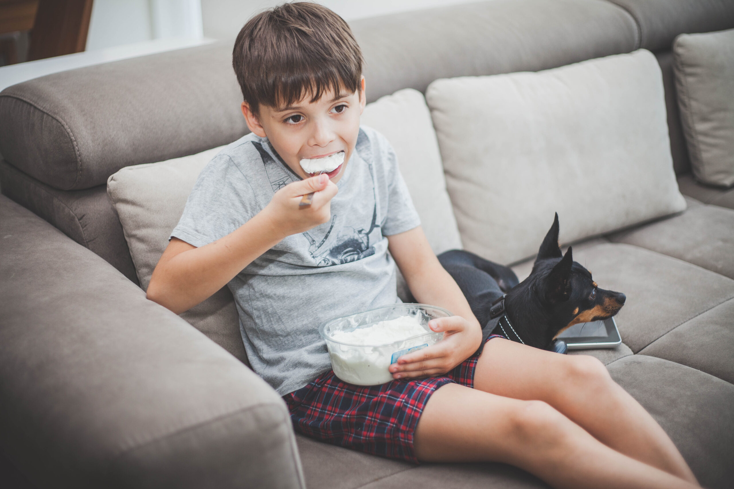 Boy eating ice cream on sofa